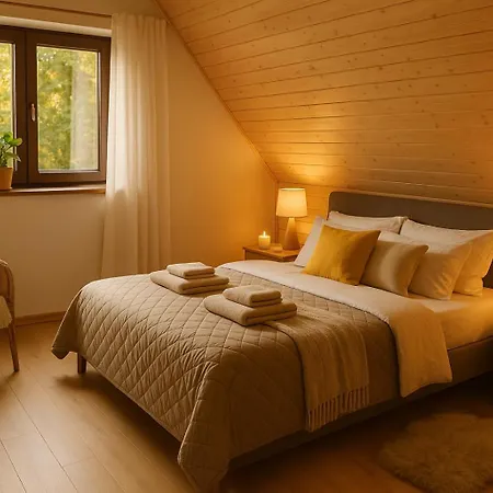Dream Z Tarasem I Ogrodem, Szybkim Wi-fi 600mb I Vod, Parking Free Ev Holiday home Polanica-Zdroj