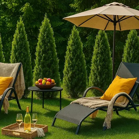 Holiday home Dream Z Tarasem I Ogrodem, Szybkim Wi-fi 600mb I Vod, Parking Free Ev Polanica-Zdroj