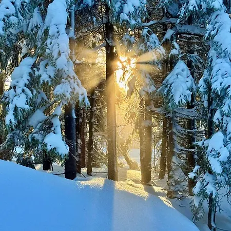 Dream - Ogród 600m2, Wifi 600mb, Gaming, Klimatyzacja, Ev Wallbox 11kw Dom wakacyjny Polanica-Zdrój