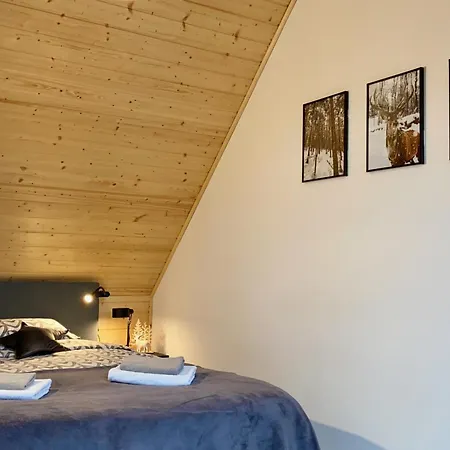 Dream - Ogród 600m2, Wifi 600mb, Gaming, Klimatyzacja, Ev Wallbox 11kw Dom wakacyjny Polanica-Zdrój