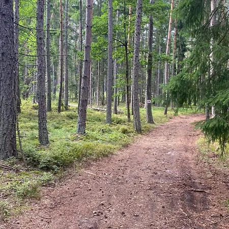 Сasa de vacaciones Dream Prywatny Dom Dla Rodziny Ogrodzony Ogród Z ładowaniem Ev W Cenie